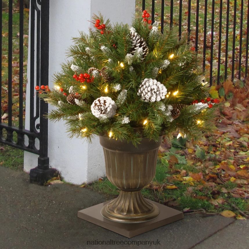 Greenery | National Tree Company 24in Frosted Berry Porch Bush with Clear Lights F2L4F475
